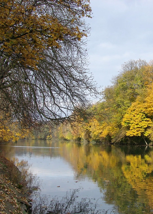 bord de marne